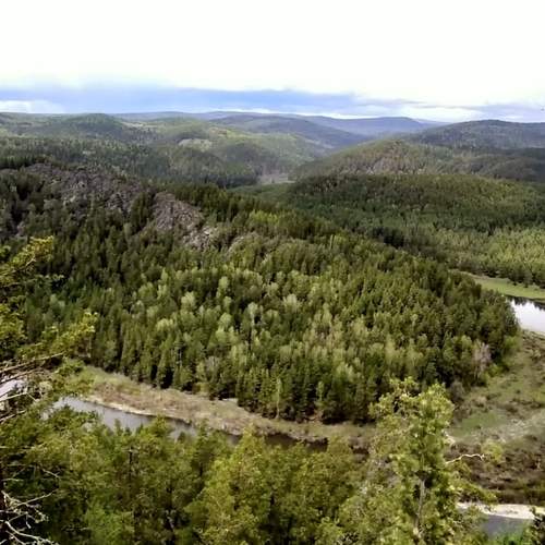 Photo #13234661