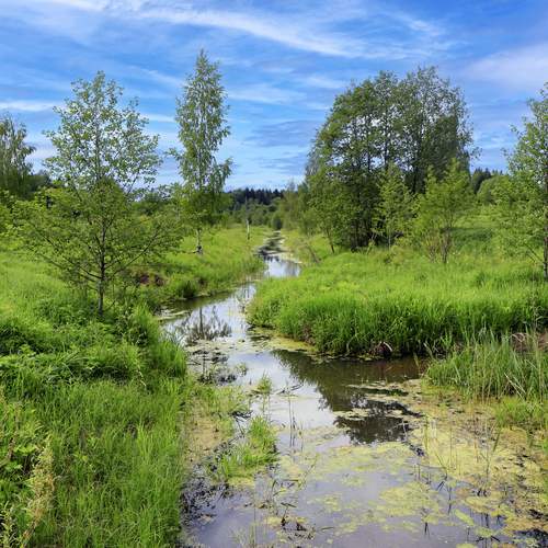 Photo #13234801