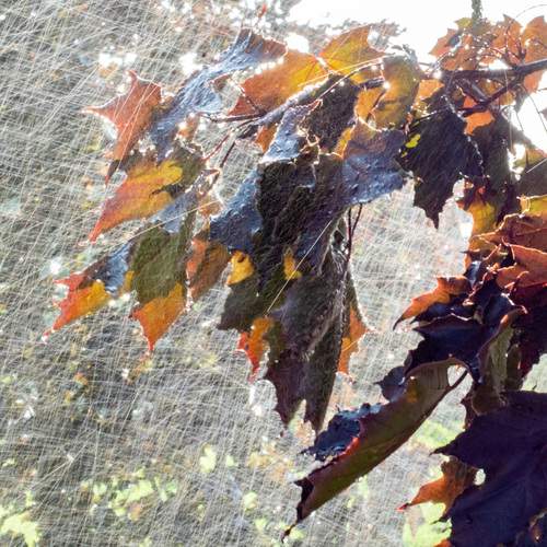 Photo #13234913