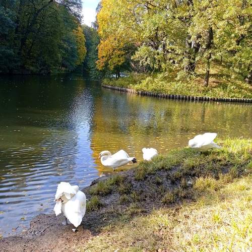 Фотография #13234984