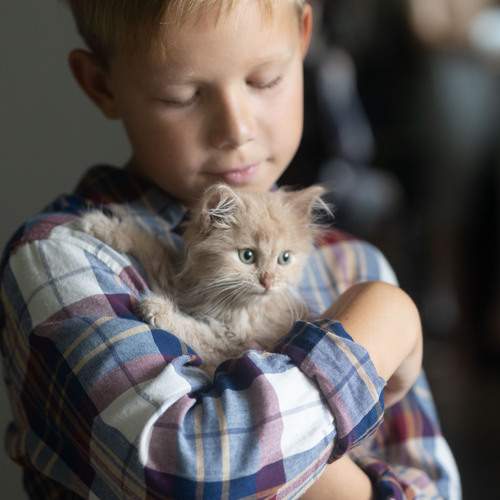 Photo #13235007