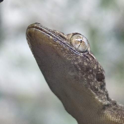 Photo #13235030
