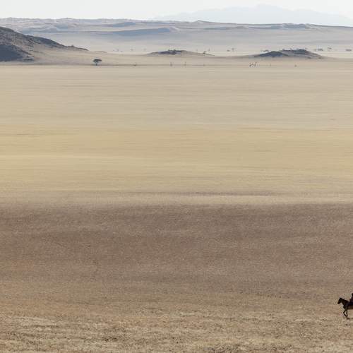 Photo #13235142