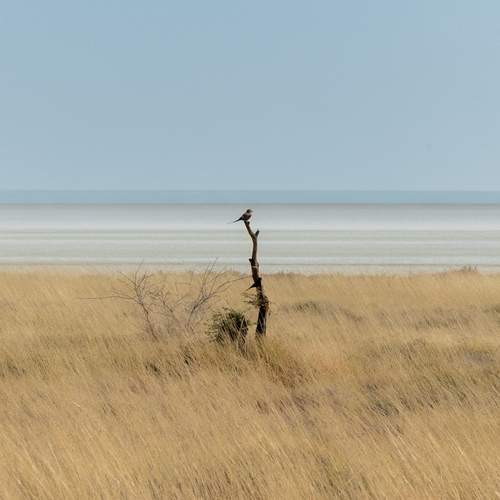 Photo #13235243