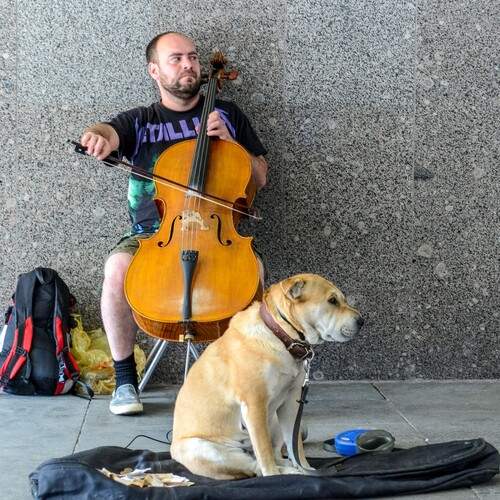 Photo #13235254