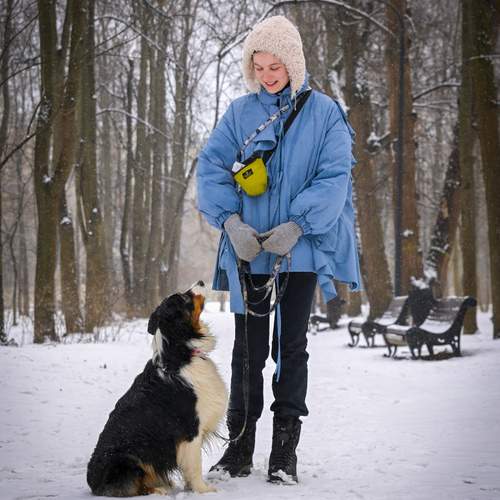 Photo #13235296
