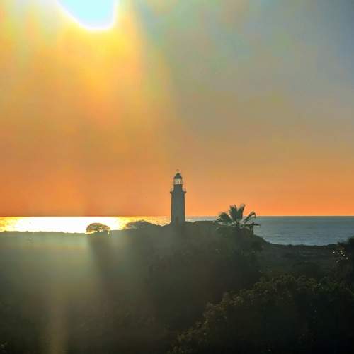 Photo #13235438