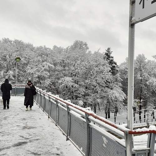 Photo #13235615