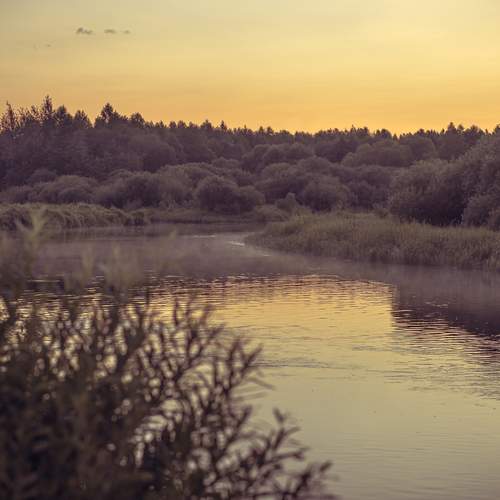 Photo #13235693