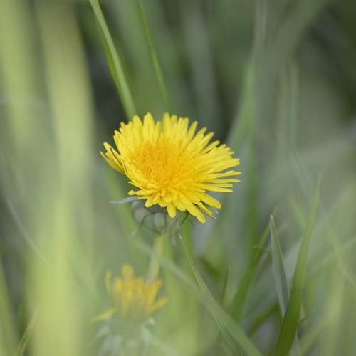 Photo #13235695