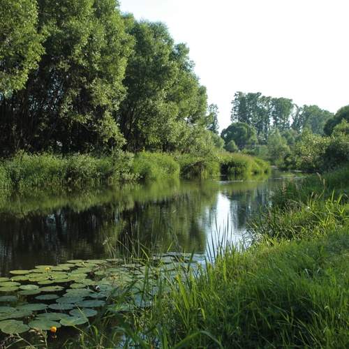 Photo #13236015