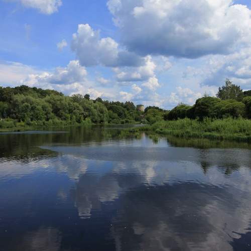 Photo #13236042