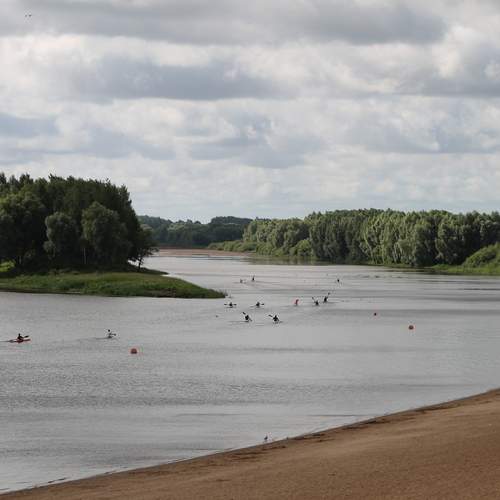 Photo #13236046