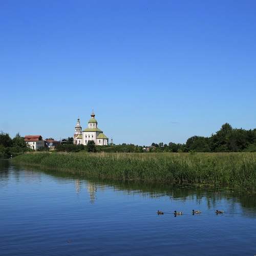Photo #13236057