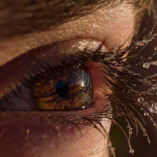Глаз человека
