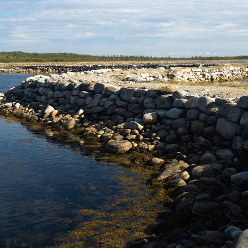 Photo #13236131