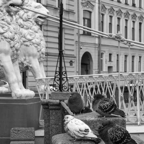 Photo #13236159