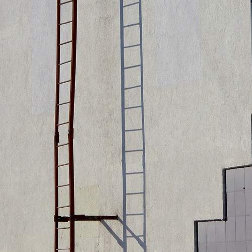 Фотография #13236171