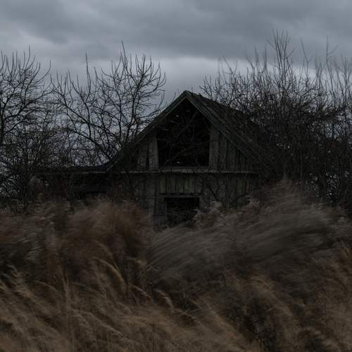 Photo #13236217