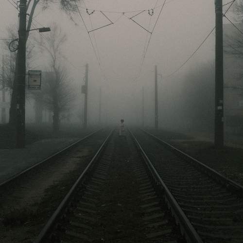 Photo #13236238