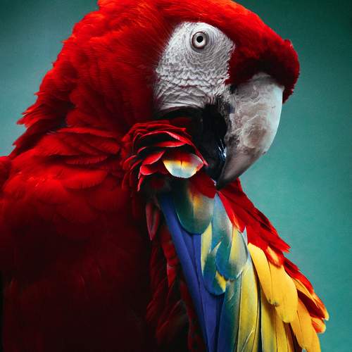 Photo #13236242