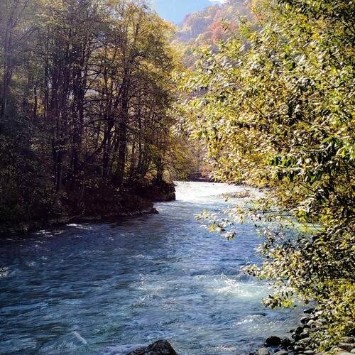 Photo #13236340