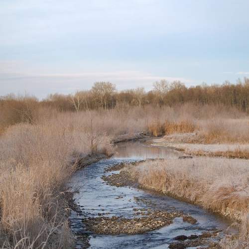 Photo #13236344
