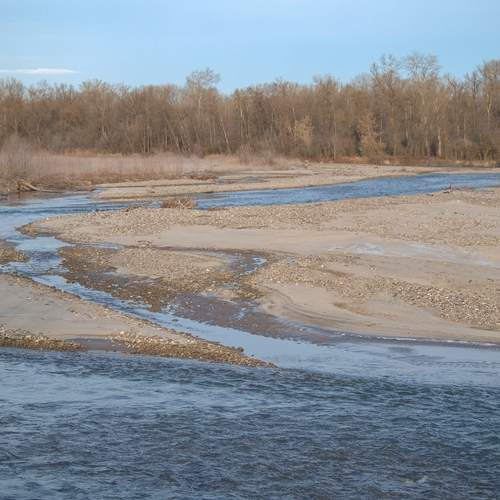 Photo #13236349