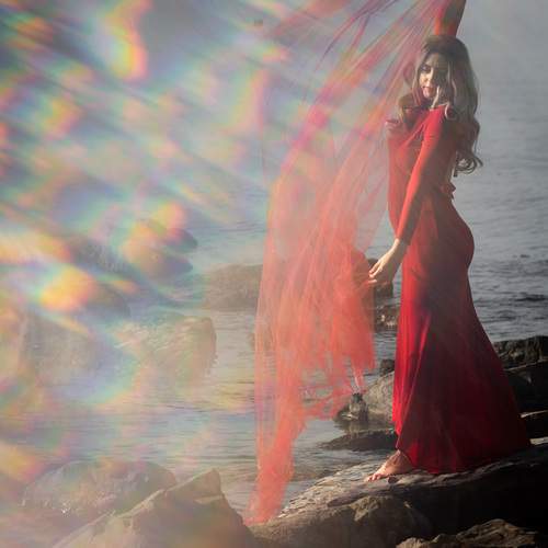 Photo #13236420
