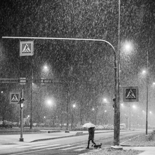 Photo #13236496