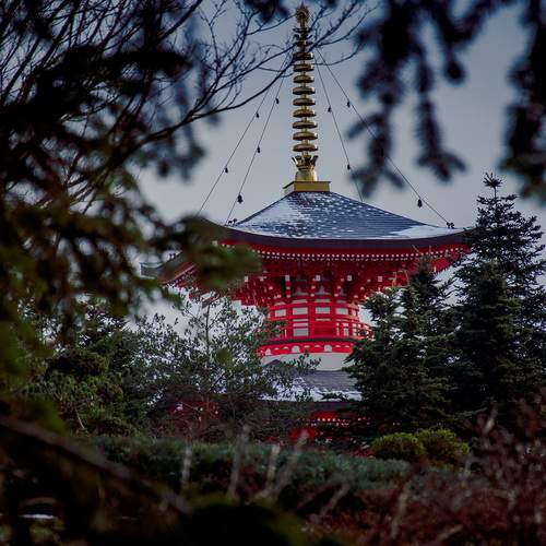 Photo #13236500