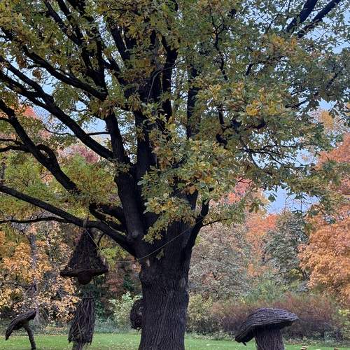Photo #13236542