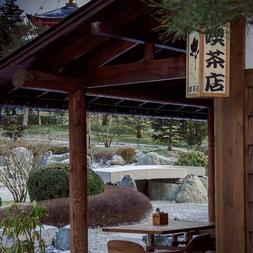 Photo #13236619