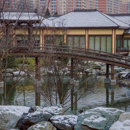 Photo #13236628