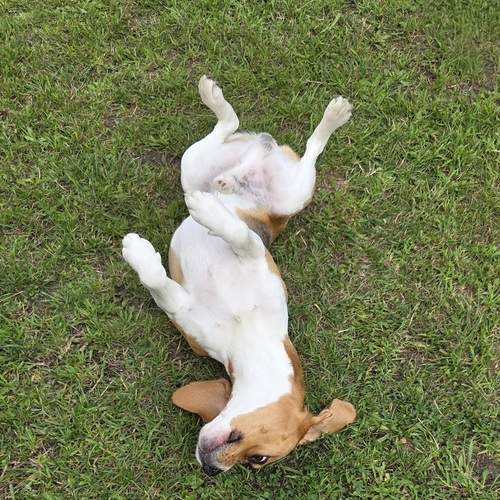 Photo #13236715