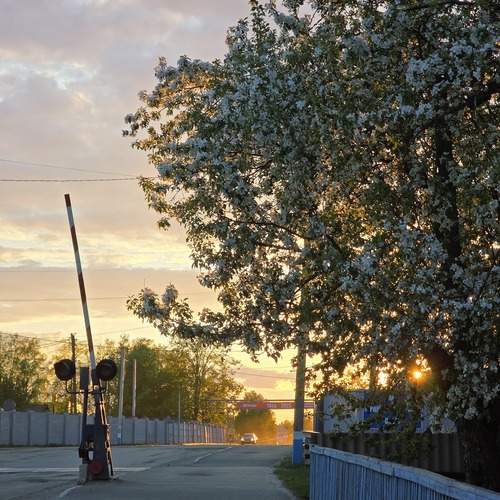 Photo #13236811