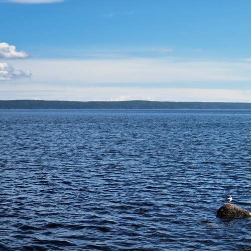 Photo #13236818