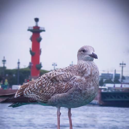 Photo #13236891