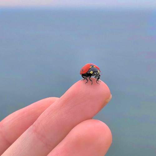 Photo #13236953
