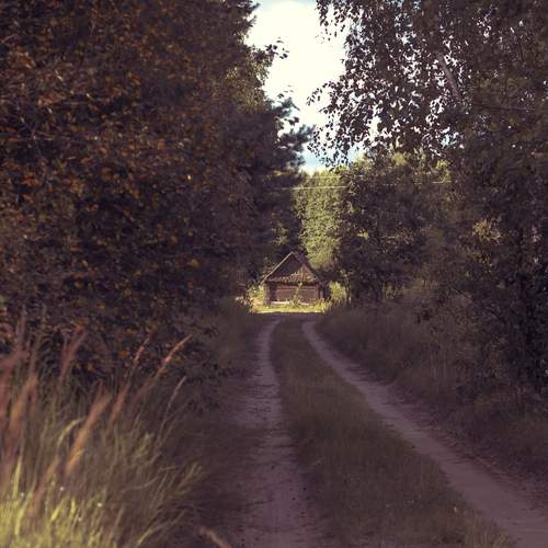 Photo #13237148