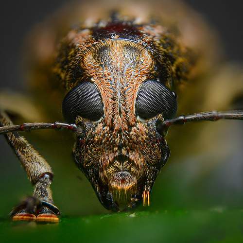 Фотография #13237311