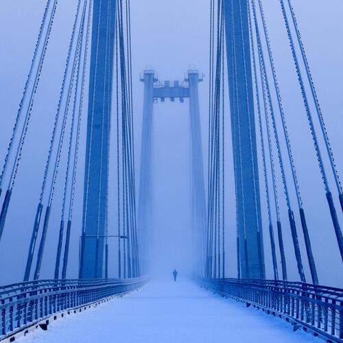 Photo #13237371