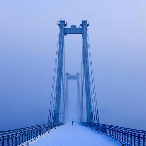 Photo #13237372