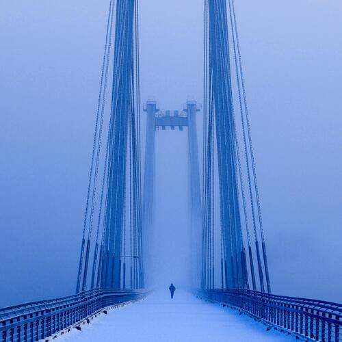 Photo #13237374
