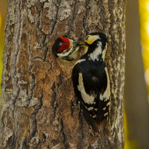 Photo #13237385
