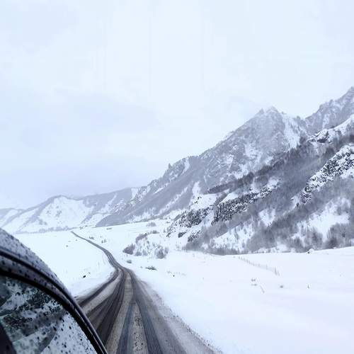 Photo #13237508