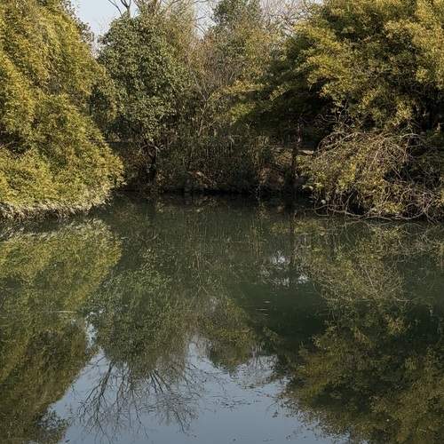 Photo #13237619