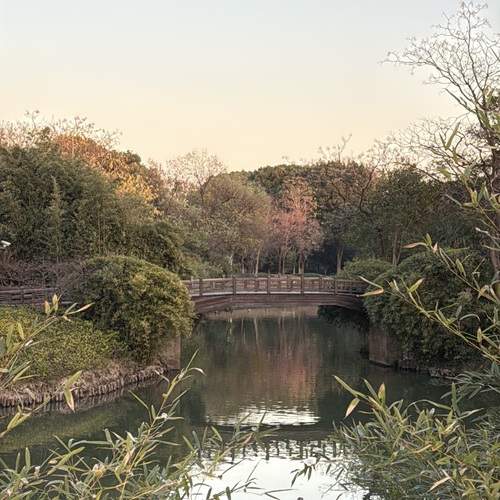 Photo #13237620