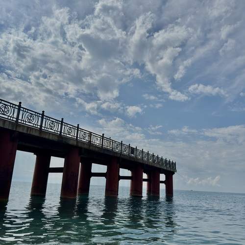 Photo #13237670