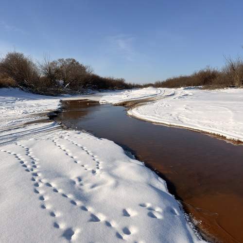 Photo #13237671